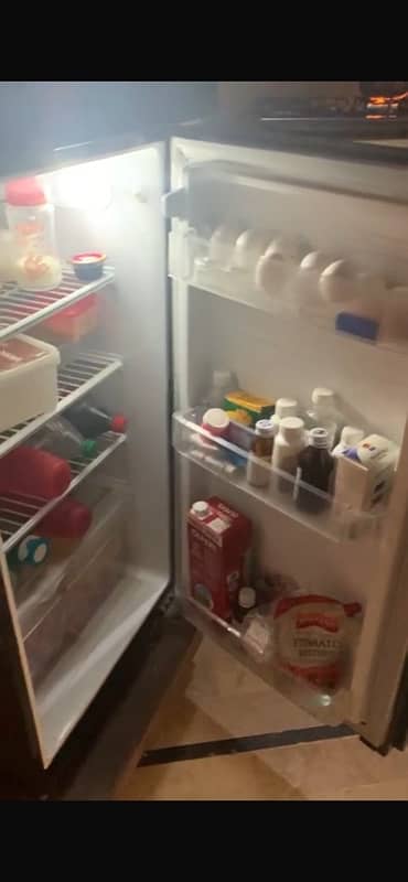 PEL Refrigerator 1