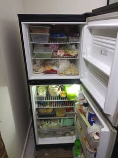 Freezer and Refrigerator