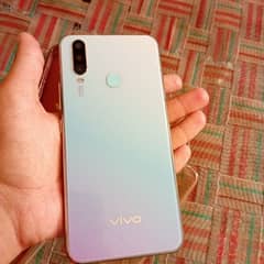 vivo