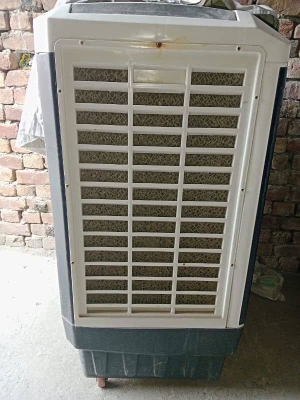 Air cooler for sale 03017328597 1