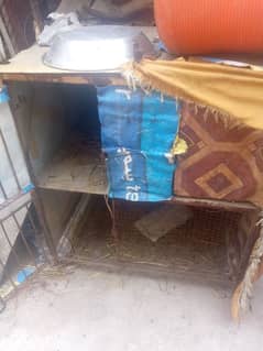 cage for sale