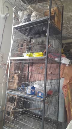 2 Cage Gor Sale and 6 Box sale. .  (4 in 1  2 in 1)   6. Box