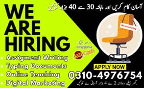 Typing job/Part Time Full Time Job / Data Entry Job /Assignment Job