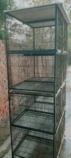 8 Portion cage available for sale