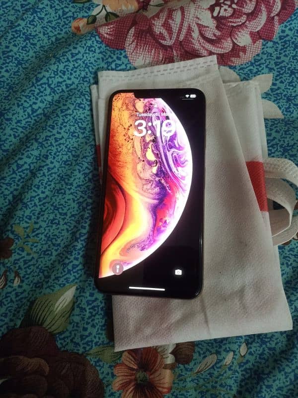 XS MAX NON PATA 64 GB 1