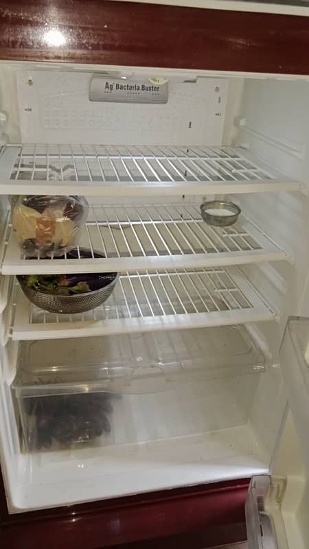 pel fridge for sale 5