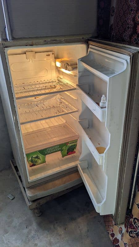 Dawlanc Fridge Medium 1