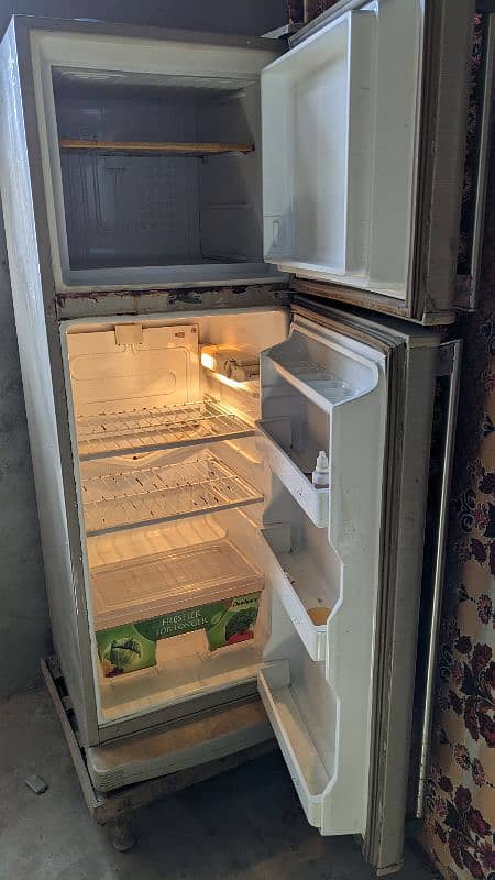 Dawlanc Fridge Medium 3