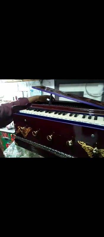 Siraj harmonium 6