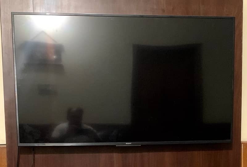 Sony Led 55 (Panel need to be changed) 1