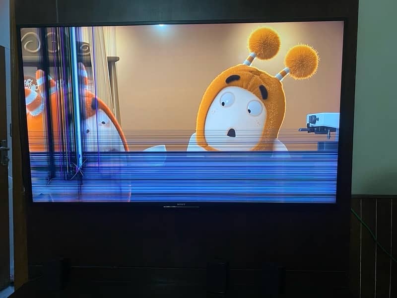 Sony Led 55 (Panel need to be changed) 3