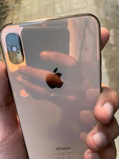 xs max non pta