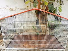 3 section cage for chicks and parrots