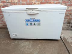 Waves Single Door Large Size ClasseY Deep FreeZer