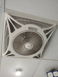 Seiling Fan 24 insh GFC 8 PEC Available