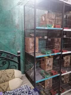 Ramadan big offer 4 portion cage used size 2 x 1.5 x1.5