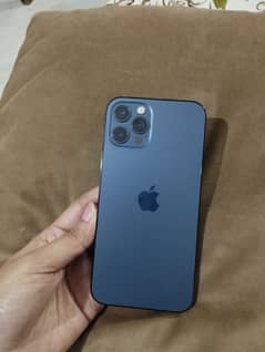 iPhone 12Pro  10/10 Condition