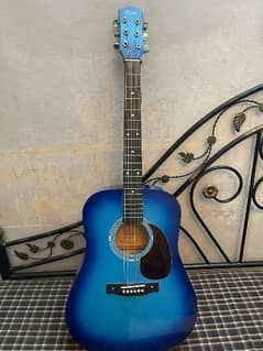 Acoustic Guitar in Lush Condition