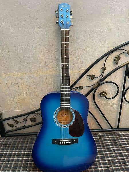 Acoustic Guitar in Lush Condition 0