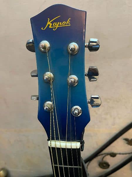 Acoustic Guitar in Lush Condition 1