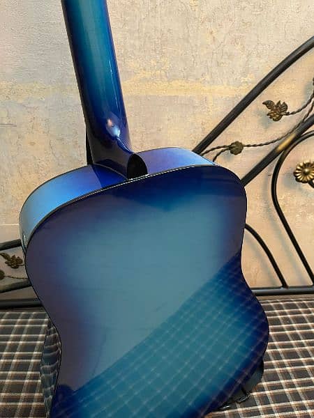 Acoustic Guitar in Lush Condition 3