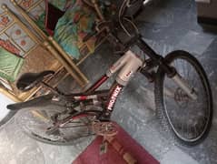 phoenix Bicycle for sale