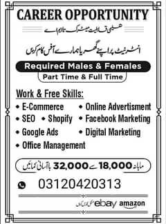 we need  male and female staff for office work