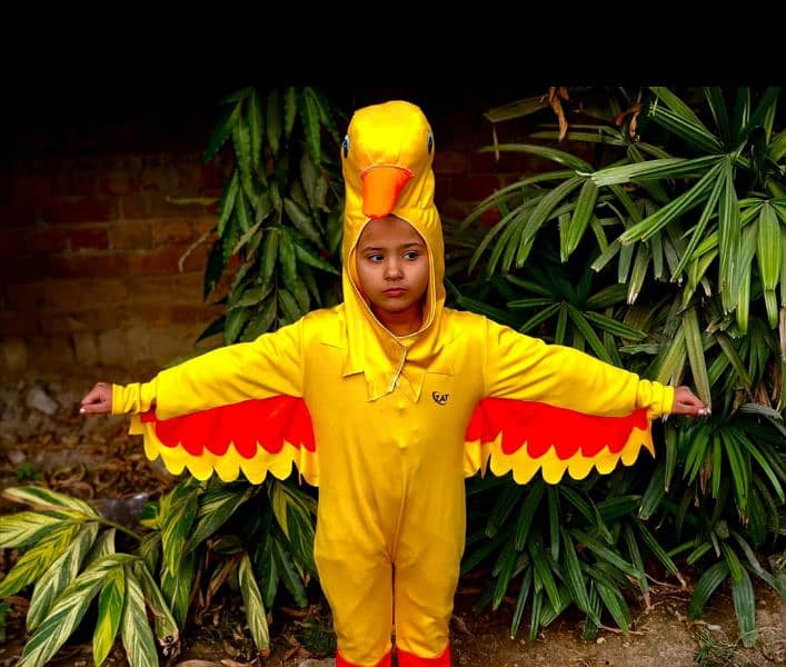 kid's costumes l Animal l Customized Costumes l 0323-4536375 5