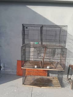 birds cages