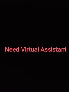 Virtual assistant needed Rs 2500 per week