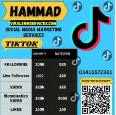 TikTok Boosting Service