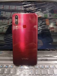 Vivo