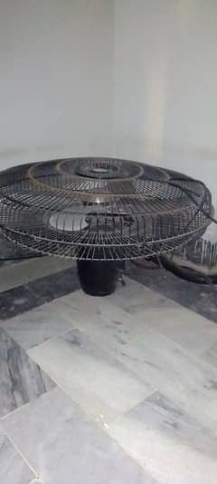 excellent condition Black colour royal fan 2 bracket Fans