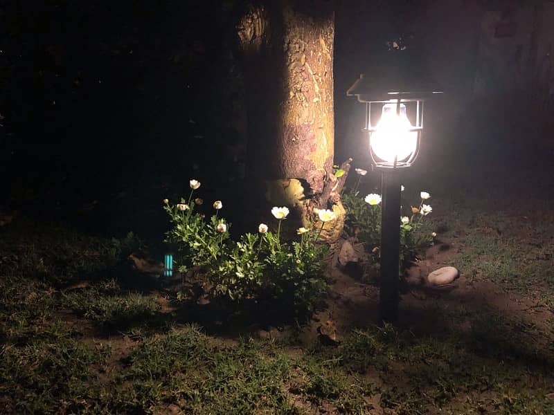 Solar Garden Light 3