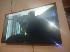 Samsung LCD , TCL Nobel , DVD player