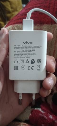 vivo