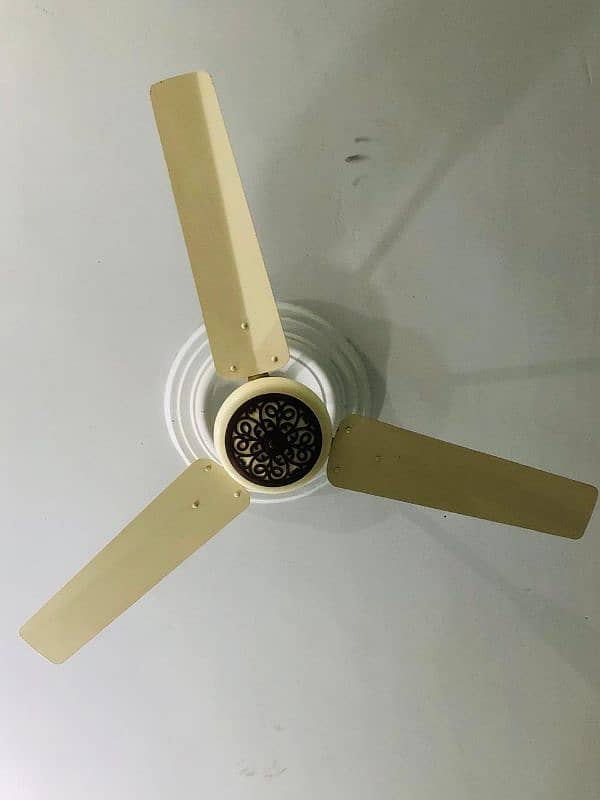 ceiling fan 1