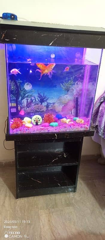 10 din used fish aquarium 2 fit 1