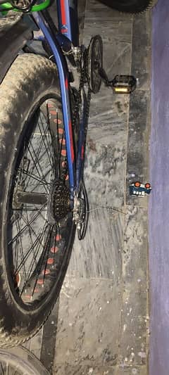 Fat Tyres bicycle for sale