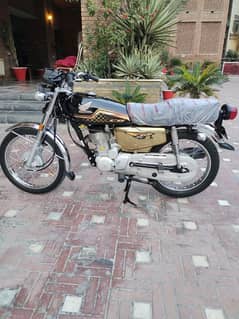 Honda 125 special edition gold 23/24