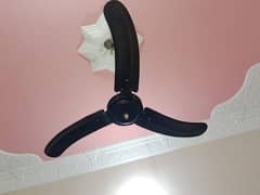 Khursheed Ceiling Fancy Fan