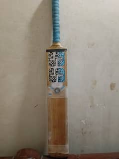 Original English willow bat