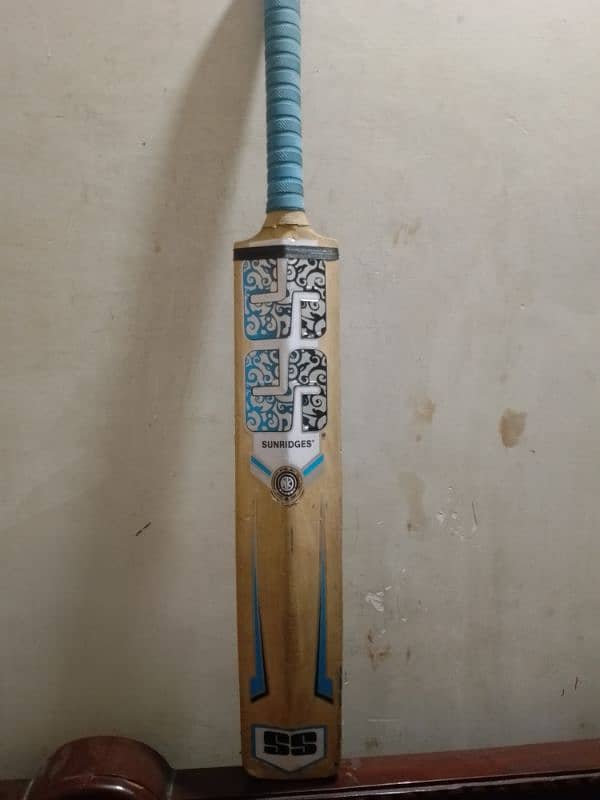 Original English willow bat 1