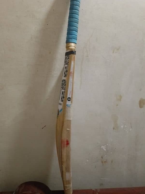 Original English willow bat 2