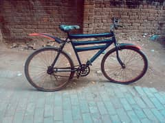 cycle for sale