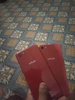 vivo