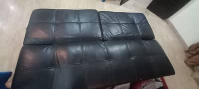 Interwood Sofa cum Bed