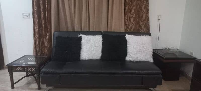 Interwood Sofa cum Bed 7