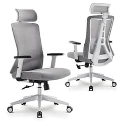 Office Chair, Chairs, Computer Chair, Revolving Chair, Study Chair