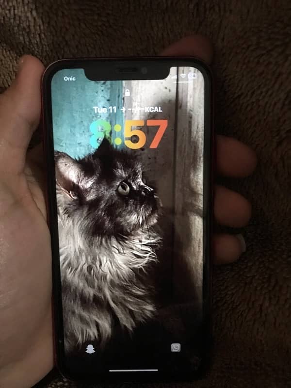 iphone 11 3